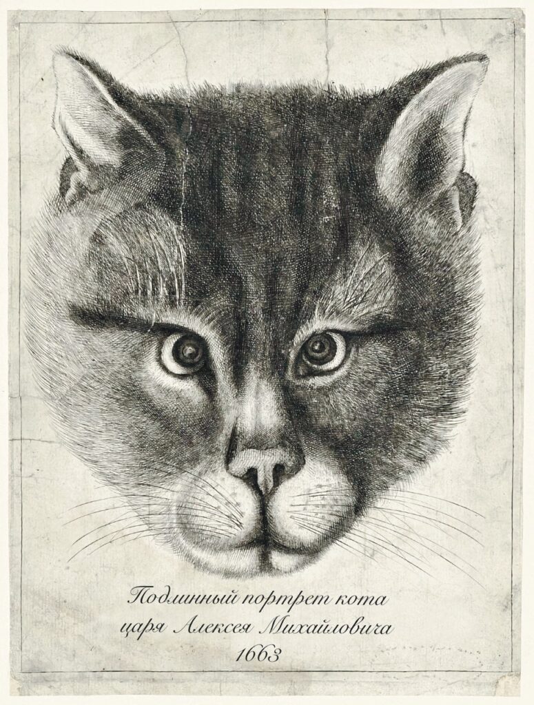 Подлинный портрет кота великого князя Московии